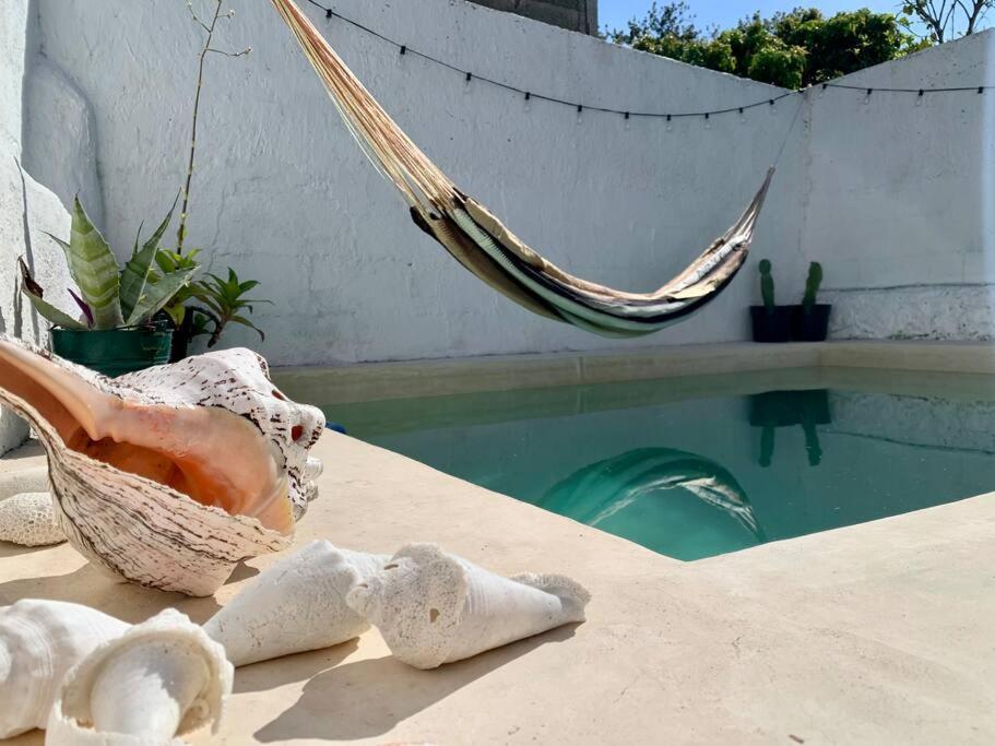 Сasa de vacaciones Casita Azul Colonial En El Centro De Merida. Mérida