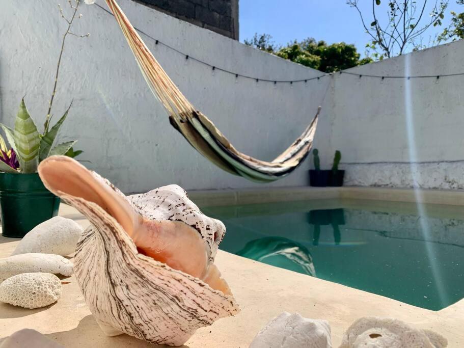 Casita Azul Colonial En El Centro De Merida. Сasa de vacaciones Mérida