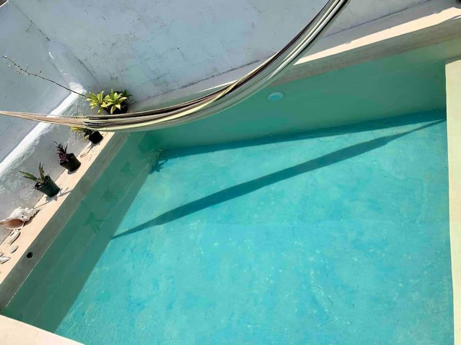 Casita Azul Colonial En El Centro De Merida. * Mérida